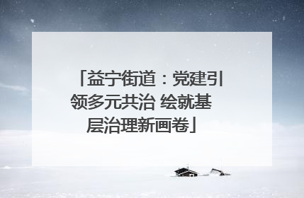 益宁街道：党建引领多元共治 绘就基层治理新画卷