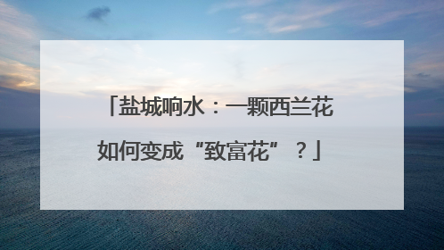 盐城响水：一颗西兰花如何变成“致富花”？