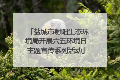 盐城市射阳生态环境局开展六五环境日主题宣传系列活动