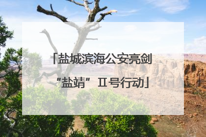 盐城滨海公安亮剑“盐靖”Ⅱ号行动