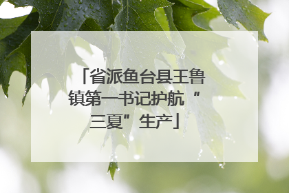 省派鱼台县王鲁镇第一书记护航“三夏”生产