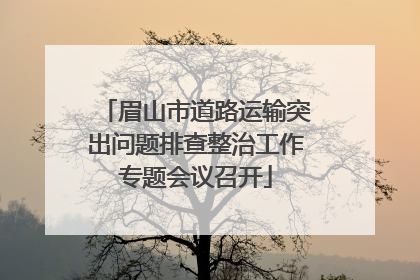 眉山市道路运输突出问题排查整治工作专题会议召开