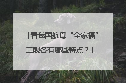 看我国航母“全家福” 三舰各有哪些特点？