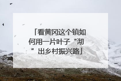看黄冈这个镇如何用一片叶子“沏”出乡村振兴路