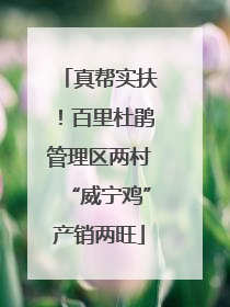 真帮实扶！百里杜鹃管理区两村“威宁鸡”产销两旺