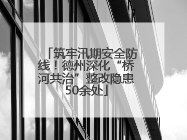 筑牢汛期安全防线！德州深化“桥河共治”整改隐患50余处