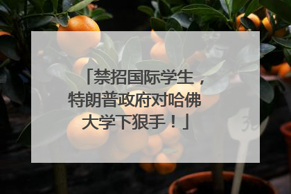 禁招国际学生，特朗普政府对哈佛大学下狠手！