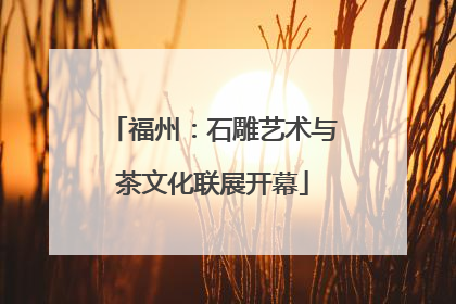 福州：石雕艺术与茶文化联展开幕