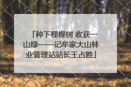 种下棵棵树 收获一山绿——记牟家大山林业管理站站长王占胜
