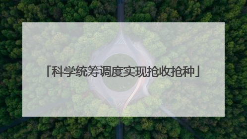 科学统筹调度实现抢收抢种