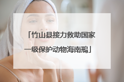 竹山县接力救助国家一级保护动物海南鳽