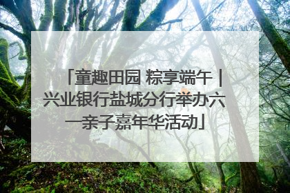 童趣田园 粽享端午｜兴业银行盐城分行举办六一亲子嘉年华活动