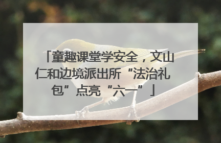 童趣课堂学安全，文山仁和边境派出所“法治礼包”点亮“六一”