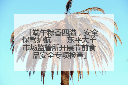 端午粽香四溢，安全保驾护航——东平大羊市场监管所开展节前食品安全专项检查