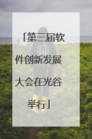 第三届软件创新发展大会在光谷举行