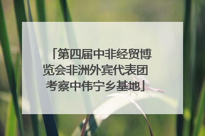 第四届中非经贸博览会非洲外宾代表团考察中伟宁乡基地