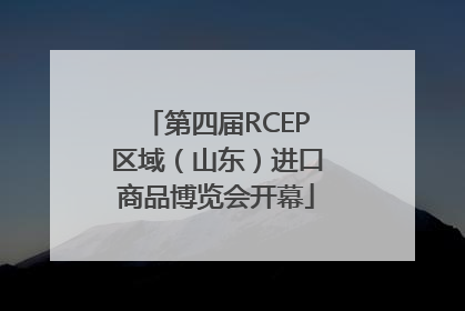 第四届RCEP区域（山东）进口商品博览会开幕