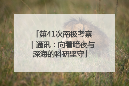 第41次南极考察｜通讯：向着暗夜与深海的科研坚守