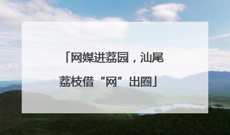 网媒进荔园，汕尾荔枝借“网”出圈