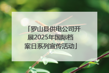 罗山县供电公司开展2025年国际档案日系列宣传活动