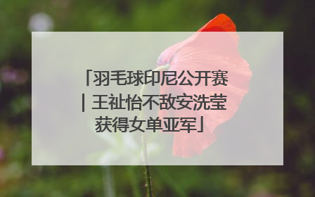 羽毛球印尼公开赛｜王祉怡不敌安洗莹 获得女单亚军