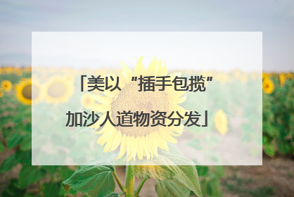 美以“插手包揽”加沙人道物资分发