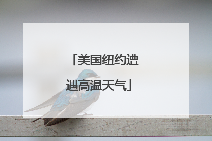 美国纽约遭遇高温天气