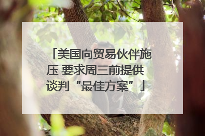 美国向贸易伙伴施压 要求周三前提供谈判“最佳方案”