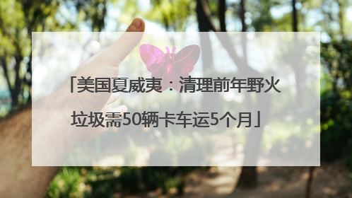 美国夏威夷：清理前年野火垃圾需50辆卡车运5个月