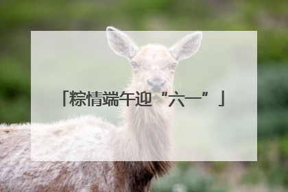 粽情端午迎“六一”