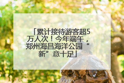 累计接待游客超5万人次！今年端午，郑州海昌海洋公园“新”意十足