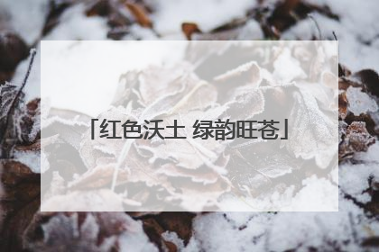 红色沃土 绿韵旺苍