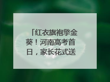 红衣旗袍擎金葵！河南高考首日，家长花式送考藏满爱与盼