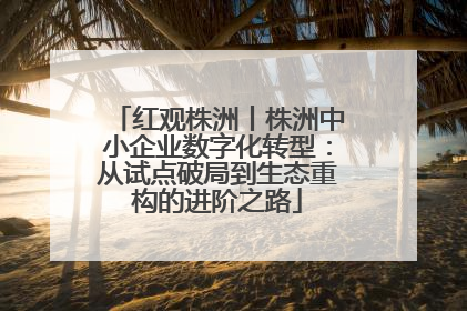 红观株洲丨株洲中小企业数字化转型：从试点破局到生态重构的进阶之路
