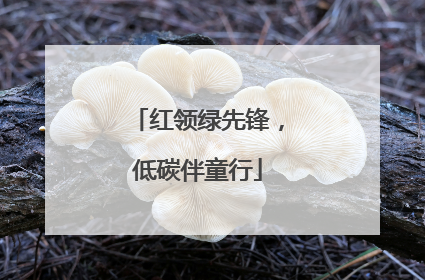 红领绿先锋，低碳伴童行
