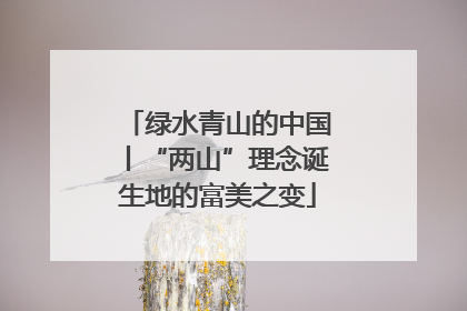 绿水青山的中国丨“两山”理念诞生地的富美之变
