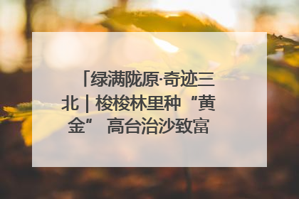 绿满陇原·奇迹三北｜梭梭林里种“黄金” 高台治沙致富很“从容”