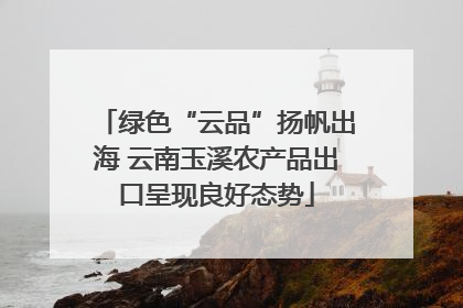 绿色“云品”扬帆出海 云南玉溪农产品出口呈现良好态势