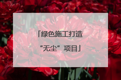 绿色施工打造“无尘”项目