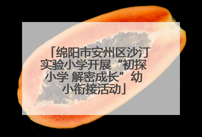 绵阳市安州区沙汀实验小学开展“初探小学 解密成长”幼小衔接活动