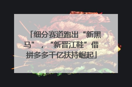 细分赛道跑出“新黑马”，“新晋江鞋”借拼多多千亿扶持崛起