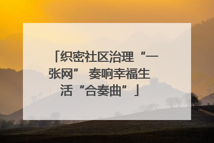织密社区治理“一张网” 奏响幸福生活“合奏曲”
