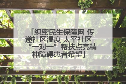 织密民生保障网 传递社区温度 太平社区“一对一”帮扶点亮精神障碍患者希望