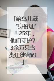 给鸟儿戴“身份证”！25年，他们守护73余万只鸟类迁徙密码