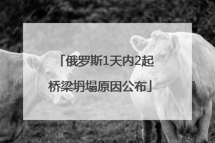 俄罗斯1天内2起桥梁坍塌原因公布