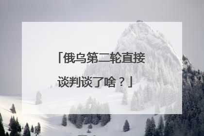 俄乌第二轮直接谈判谈了啥？