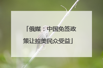 俄媒：中国免签政策让拉美民众受益