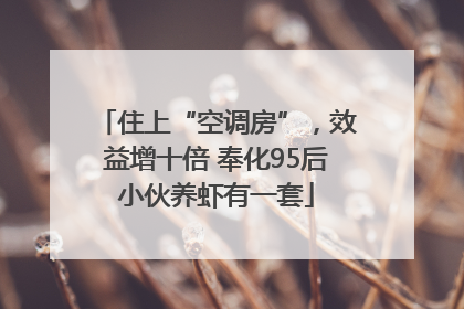 住上“空调房”，效益增十倍 奉化95后小伙养虾有一套