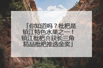 你知道吗？枇杷是镇江特色水果之一！镇江枇杷喜获长三角精品枇杷推选金奖