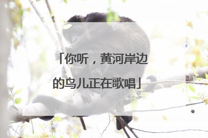 你听，黄河岸边的鸟儿正在歌唱